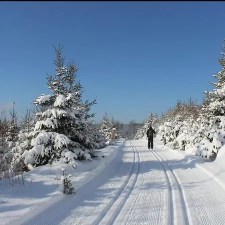 Appartamento Herzstueck Willingen (Upland)