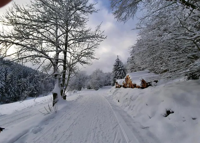 Lägenhet Herzstueck