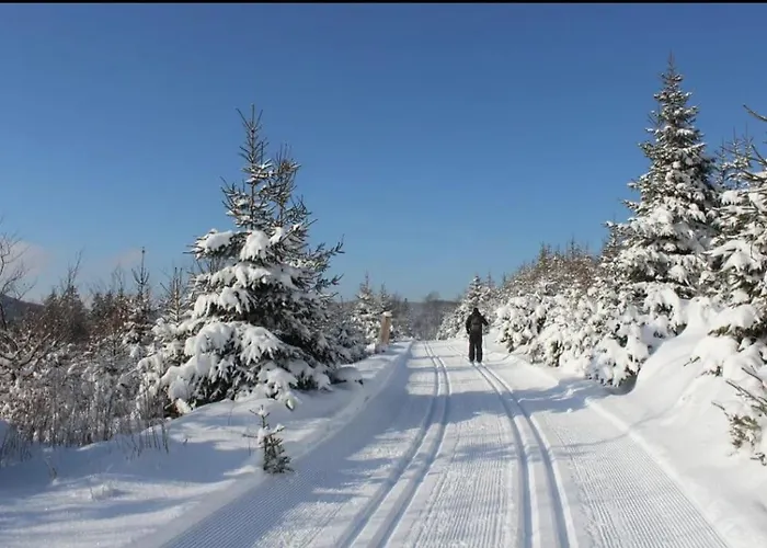 Lägenhet Herzstueck Willingen (Upland)